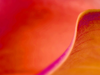 Sony Vaio Dark Neon Pink And Orange Image